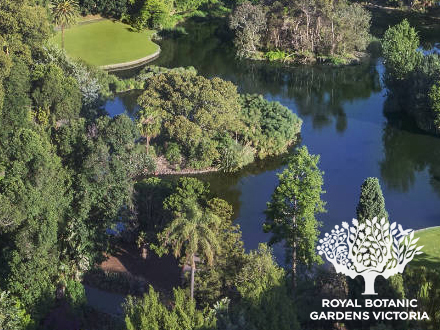 Stormwater Harvesting at the Botanic Gardens